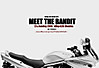 meetthebandit.jpg