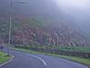 p8150215-2.jpg