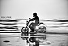 rideFree.jpg