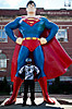 superman.jpg