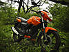 tvs_apache_rtr_fi160_24.jpg