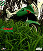 castrol_karizma_01.jpg