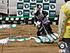 castrol_throttle_max02.jpg