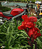 kinetic_hyosung_comet_250_india_06.jpg