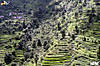 49_dhanolti_08_.jpg