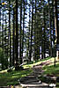 53_dhanolti_08_.jpg