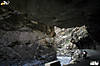 himachal_explorers_3_002.jpg