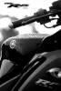 yamaha_r15_03.jpg