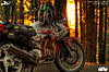 binsar_day1_13.jpg