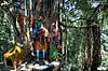 binsar_day1_16.jpg