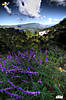 binsar_day1_17.jpg