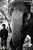 binsar_day1_18.jpg