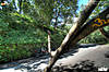 binsar_day1_22.jpg