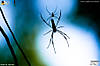 binsar_day1_23.jpg