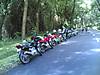 bangalore_wayanad_05.jpg