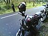 bangalore_wayanad_07.jpg
