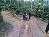 bangalore_wayanad_08.jpg