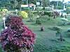 bangalore_wayanad_13.jpg