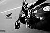 hondafireblade08_19.jpg