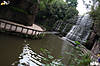IMG_8325.jpg