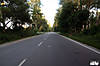IMG_8685.jpg