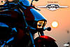suzuki_intruder_delhi_3.jpg