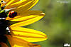 binsar_069.jpg