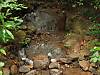 DSC01731.JPG