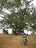 DSCN3290.JPG