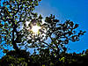 IMG_12451.jpg