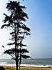 IMG_1449.jpg