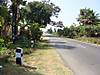 DSC00731.JPG