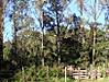 DSC00759.JPG