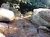 DSC00239.JPG