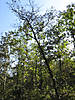 IMG_2113.jpg