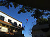 IMG_2261.jpg