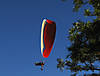IMG_2262.jpg