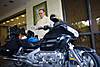 MG_3769.jpg