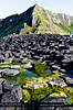 giantscauseway.jpg