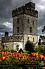 lismorecastlegardens.jpg
