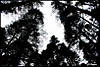 MG_8773.jpg