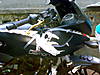 05032009038.jpg
