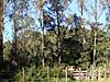 DSC007591.JPG