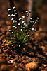 3_138.jpg