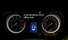 MG_7419.jpg