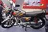 MG_7821.jpg