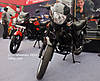 MG_7827.jpg