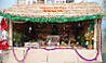 DSC_0113_copy.jpg
