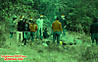 DSC_0149_copy.jpg