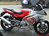 DSC00907.JPG
